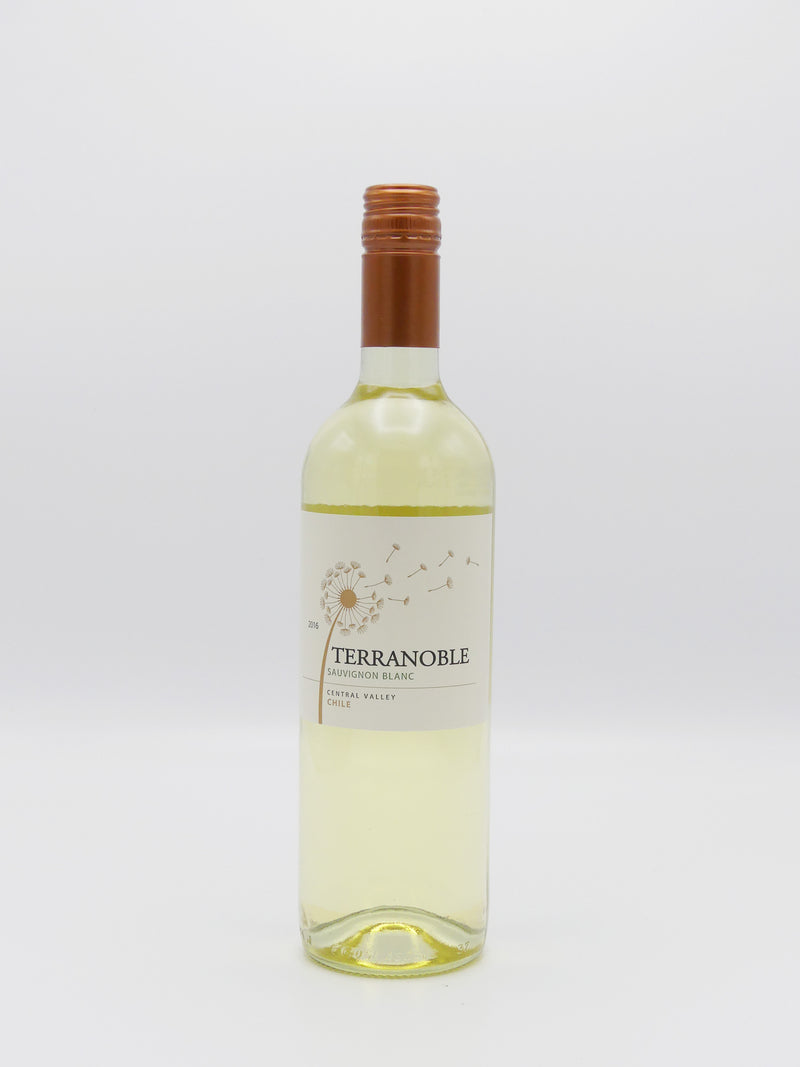 Terranoble Sauvignon Blanc, 750ml